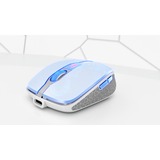 CHERRY DW 9100 SLIM clavier Souris incluse Universel RF sans fil + Bluetooth QWERTY Anglais américain Argent set de bureau Blanc, Layout EU (QWERTY), Technologie SX, 100%, Sans fil, RF sans fil + Bluetooth, QWERTY, Argent, Souris incluse