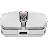 CHERRY DW 9100 SLIM clavier Souris incluse Universel RF sans fil + Bluetooth QWERTY Anglais américain Argent set de bureau Blanc, Layout EU (QWERTY), Technologie SX, 100%, Sans fil, RF sans fil + Bluetooth, QWERTY, Argent, Souris incluse