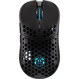 EY6A008, Souris gaming