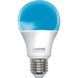 HOMEPILOT addZ lampe LED E27 White and Colour, Lampe à LED 