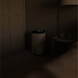 Meaco Dry Arete Two 10L Déshumidificateur à compresseur et purificateur d'air Blanc/Noir