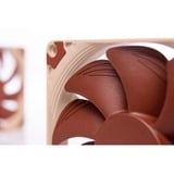 Noctua NF-A9x14, Ventilateur de boîtier Marron/Blanc, Connexion PWM, conception à profil bas