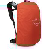 Osprey Hikelite LT 16, Sac à dos Argent/bleu-gris