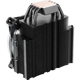 RAIJINTEK LETO RGB, Refroidisseur CPU Noir, 4-pins PMW fan-connector