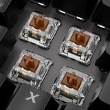 Sharkoon SKILLER SGK20 RGB clavier gaming mécanique Noir, Layout DE (QWERTZ), Huano Brown, 100%