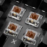 Sharkoon SKILLER SGK20, clavier gaming Noir, Layout DE, Huano Brown