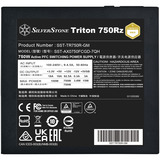 SilverStone SilvStone  Triton 750Rz 