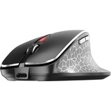 CHERRY MW 8C ERGO business, Souris Noir