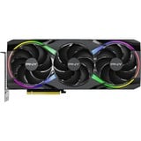 PNY GeForce RTX 5080 ARGB OC, Carte graphique 