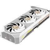 ZOTAC ZT-B50700FQ-10P, Carte graphique 