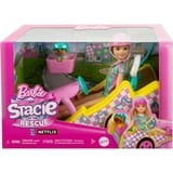 Barbie Stacie Doll and Vehicle, Poupée Poupée mannequin, Femelle, 3 an(s), Garçon/Fille, 138,9 mm, 340 g