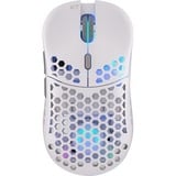 EY6A010, Souris gaming