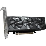 GIGABYTE GeForce RTX 5050 OC Low Profile 8G, Carte graphique 2x DisplayPort, 2x HDMI 2.1, DLSS 4