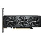 GIGABYTE GeForce RTX 5050 OC Low Profile 8G, Carte graphique 2x DisplayPort, 2x HDMI 2.1, DLSS 4