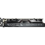 GIGABYTE GeForce RTX 5050 OC Low Profile 8G, Carte graphique 2x DisplayPort, 2x HDMI 2.1, DLSS 4