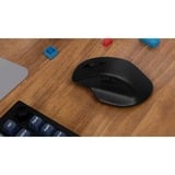 Keychron M6-A1 Wireless, Souris gaming Noir, 26,000 DPI, USB-C / Bluetooth 5.1 / 2.4 GHz