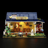 Lumibricks F9080, Jouets de construction 