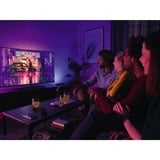 Philips Hue Hue Play pack x2, Lumière LED Noir, Philips Hue White and Color ambiance Hue Play pack x2, Panneau intelligent, Noir, ZigBee, LED intégrée, Ampoule(s) non remplaçable(s), Blanc froid, Blanc chaud, Blanc