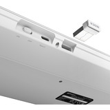 Sharkoon OfficePal K30W clavier Blanc, Layout DE (QWERTZ), Rubberdome, 100%