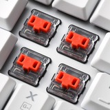 Sharkoon clavier gaming Blanc, Layout DE, Kailh Choc Profil Bas Rouge