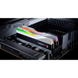 G.Skill 32 Go DDR5-6000 Kit, Mémoire vive Argent, F5-6000J4040F16GX2-TZ5RS, Trident Z5 RGB, XMP