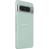 Google  smartphone Menthe