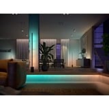 Philips Hue Extension du Gradient Lightstrip Ambiance 1 mètre, Bande LED Philips Hue White and Color ambiance Extension du Gradient Lightstrip Ambiance 1 mètre, Eclairage intelligent par bande, Bluetooth/Zigbee, Blanc, LED, Silicone, Ampoule(s) non remplaçable(s)