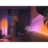 Philips Hue Extension du Gradient Lightstrip Ambiance 1 mètre, Bande LED Philips Hue White and Color ambiance Extension du Gradient Lightstrip Ambiance 1 mètre, Eclairage intelligent par bande, Bluetooth/Zigbee, Blanc, LED, Silicone, Ampoule(s) non remplaçable(s)