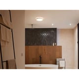 Philips Hue White Ambiance Devere Plafonnier M, Lumière LED Argent