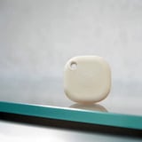 Shelly BLU Button Tough ZB, Palpeur Champagne