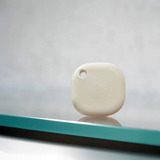 Shelly BLU Button Tough, Palpeur Champagne
