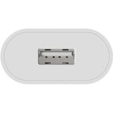 Ansmann HC105 Blanc Intérieure chargeur Blanc, Intérieure, Secteur, 5 V, Blanc
