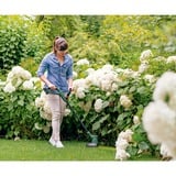 Bosch BOSCH EasyGrassCut 18V-230 (1x2.0Ah), Coupe-bordures Vert/Noir, 23 cm, 2,5 m/s², 1,5 m/s², 18 V, 2 h, 2 Ah