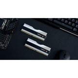 G.Skill Trident Z RGB Z5 module de mémoire 32 Go 2 x 16 Go DDR5 5200 MHz, Mémoire vive Argent, 32 Go, 2 x 16 Go, DDR5, 5200 MHz, 288-pin DIMM, Noir, Blanc