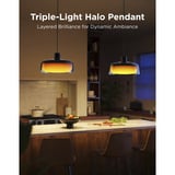 Govee Suspension, Lumière LED 