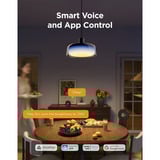 Govee Suspension, Lumière LED 