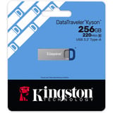 Kingston DataTraveler Kyson 256 GB, Clé USB Argent/Bleu
