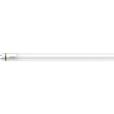 Philips MASTER LED 33976700 energy-saving lamp 20 W G13 B, Lampe à LED 20 W, G13, 3700 lm, 70000 h, Blanc neutre