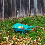 Theo Klein Jeu de Plein Air - Set de Jardinage Bosch avec Brouette, 4 Pièces, Jeux de jardin Vert, Garçon/Fille, 3 an(s)