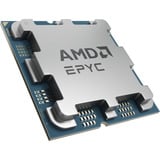 AMD EPYC™ 4545P socket AM5 processeur Tray