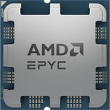 AMD EPYC™ 4545P socket AM5 processeur Tray