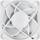 ARCTIC P12 Pro A-RGB ventilateur de boîtier Blanc, 120 x 120 x 25 mm, PWM