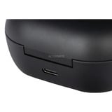 Bose  écouteurs in-ear Noir (Mat)