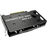 PNY GeForce RTX 5060 Dual Fan OC, Carte graphique 