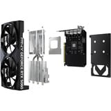 PNY GeForce RTX 5060 Dual Fan OC, Carte graphique 