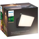 Philips Hue 915005731602, Lumière LED Noir