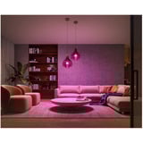 Philips Hue White & Color Ambiance Starter-Set: E27 lampe intelligente A60 pack double, Lampe à LED 