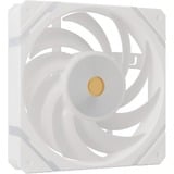 Valkyrie X12R ARGB 120 ventilateur de boîtier Blanc, 120 x 120 x 25 mm, PWM