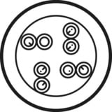 goobay Câble réseau Cat.6, U/UTP Blanc