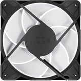 ARCTIC P14 Pro A-RGB ventilateur de boîtier Noir, 140 x 140 x 27 mm, PWM